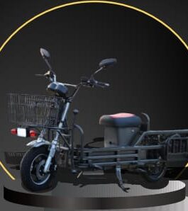 RBS250 Loader Electric